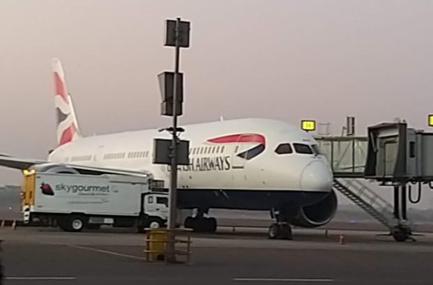 The Weekend Leader - British Airways flight carrying 18 tonnes of aid arrives in India